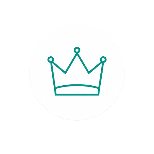 the premium package icon
